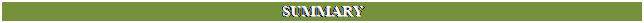 Text Box: SUMMARY
