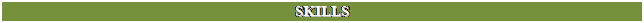 Text Box: SKILLS