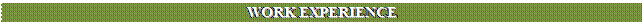 Text Box: WORK EXPERIENCE