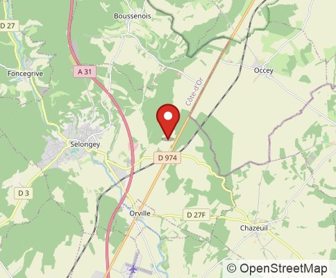 Map: 21260 Selongey, France