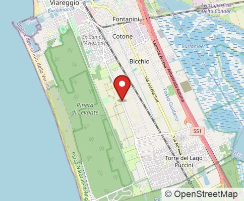 Map: 55049 Viareggio, Italy
