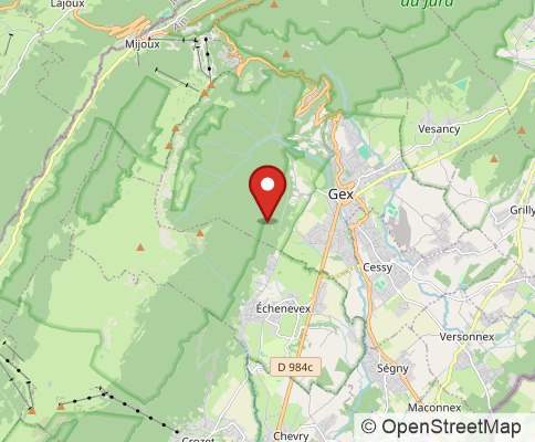Map: 01170 Gex, France