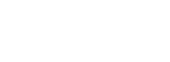 TTN translation network